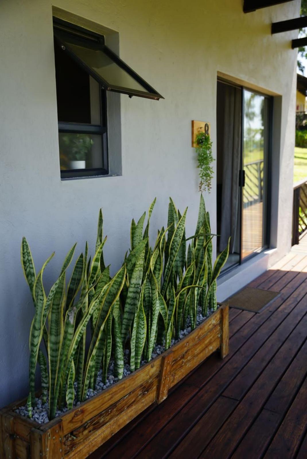 Nabana Lodge Hazyview Kültér fotó